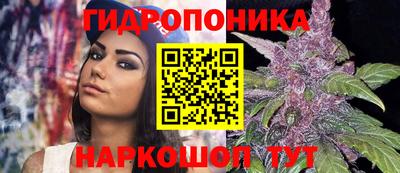 спиды Краснознаменск
