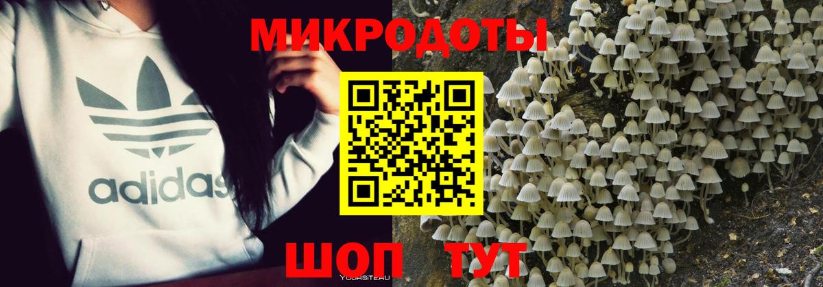 Псилоцибиновые грибы ЛСД  Вход с VPN  Дубна 